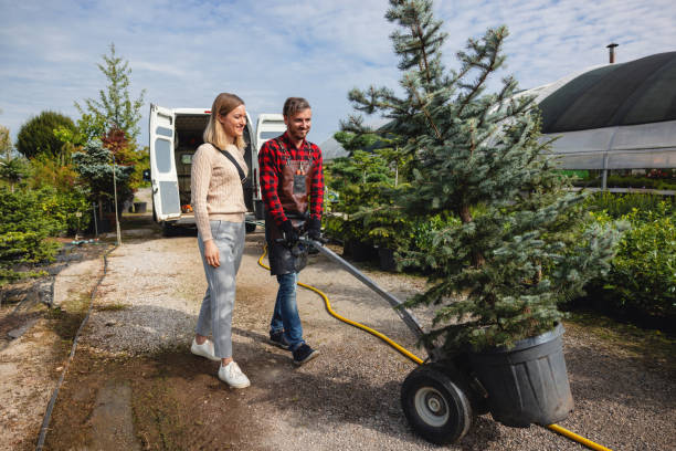 Best Tree Branch Trimming  in Bonnetsville, NC